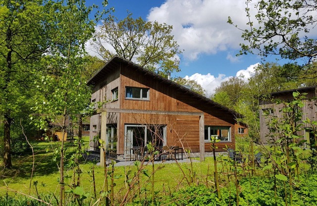 Luxury holiday home in the Nature of the Dwingelderveld Drenthe National Park