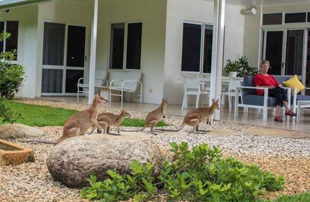 Luxury Home in Nature surrounded by Wallabies