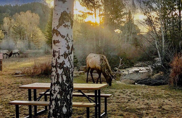 “Luxury Living by the River: Embrace Comfort, Surrounded by Wildlife. 2B2Bcondo