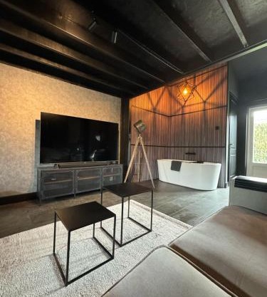 Luxury Loft
