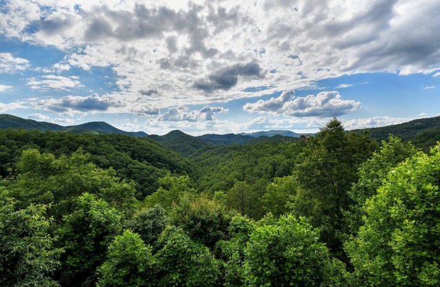 Luxury Log Cabin w/Spectacular View - 2 Masters w/Kings, Hot Tub, Hammock & Wifi