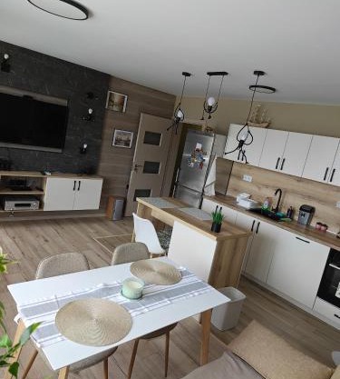 Luxury new apartment