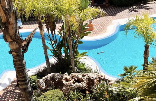 Luxury Oasis in Marbella's most exclusive location
