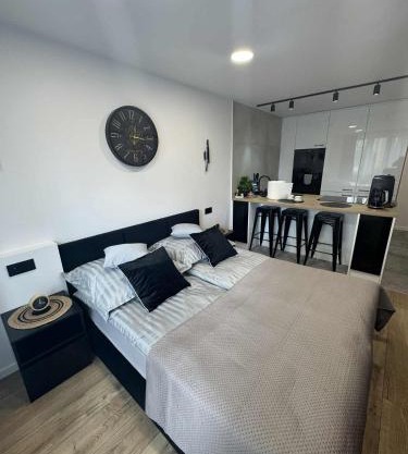 Luxury Premium Apartment Tarnów City