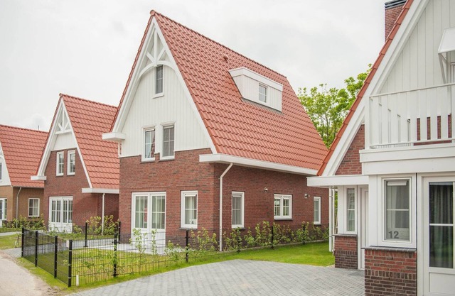 Luxury Villa near Noordzee with Sauna