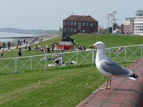 Luxus Kapitänswohnung 'Helgoland-Avantgarde'