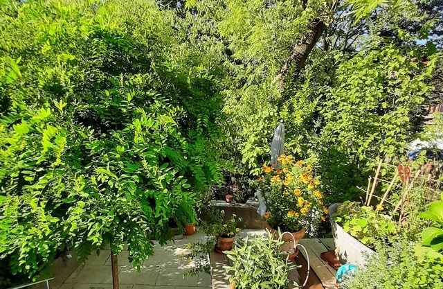 Luxusappartement mit Eigenem Garten Nähe Zentralklinikum