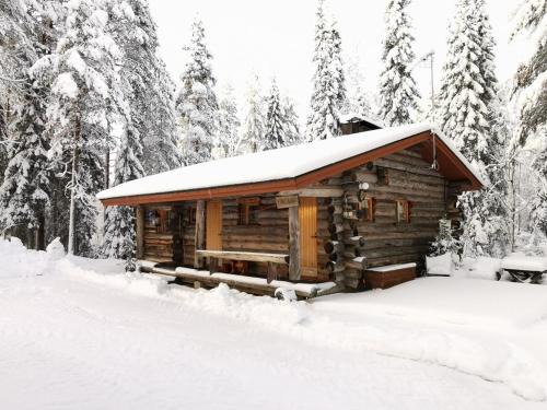 Mäntyaho