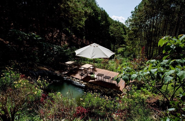 Mơ Stay Forest Resort