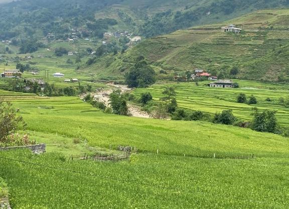 Mị Homestay Tả Van