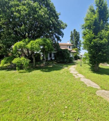 M'aMa house