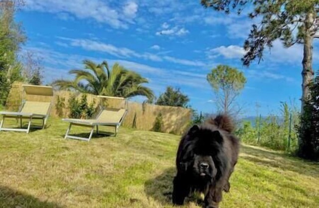 M&M HOLIDAY HOUSE "CASOLARE DEL MAESTRALE