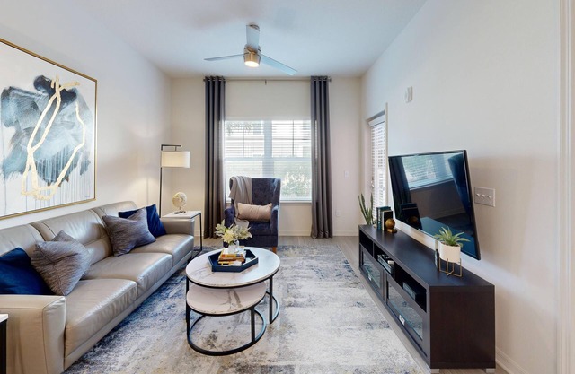 M South Tampa: Resort-Style Living with Pool and Modern Fitness
