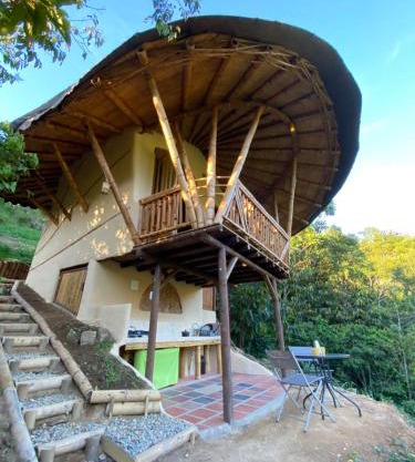 Macuá, Refugio del bosque