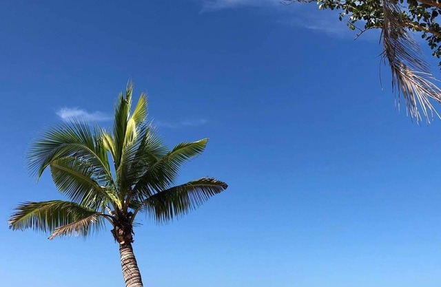 Magalong Beach Resort