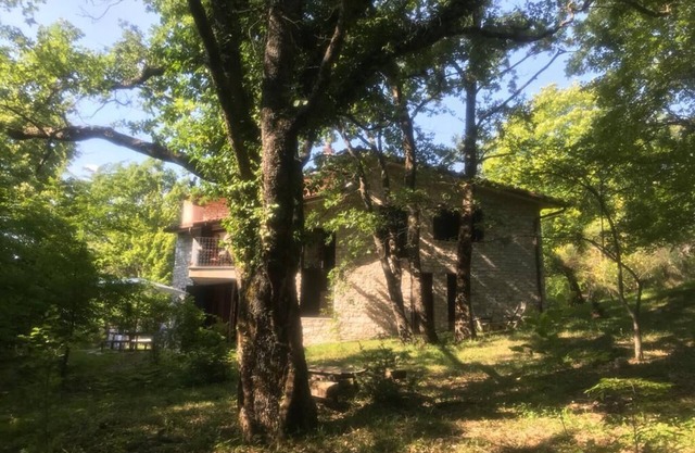 Magic Stone Villa in the Forest