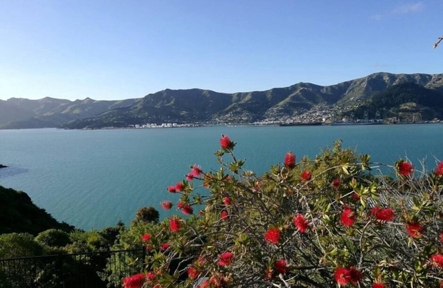 Magical Harbour Views