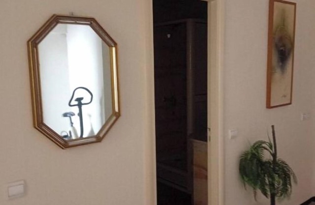 Magnificent apartment in the city center