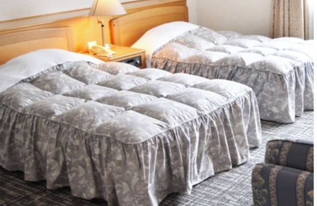 Main building twin room dinner only Ideal for /Toyama Toyama