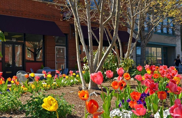 Main Street Studio with free parking