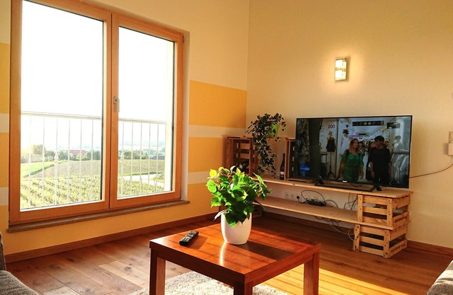 Main vacation in the vineyard