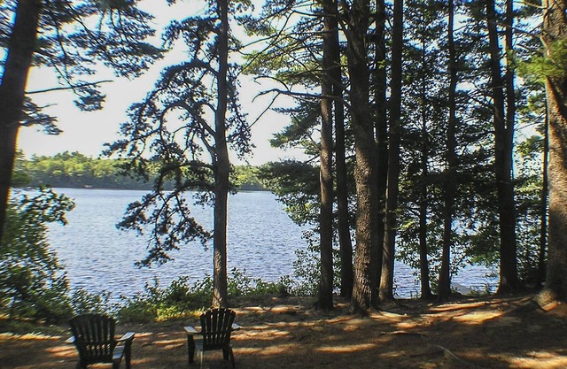 Maine Cabin on Beautiful, Quiet Lake.Close to Ocean