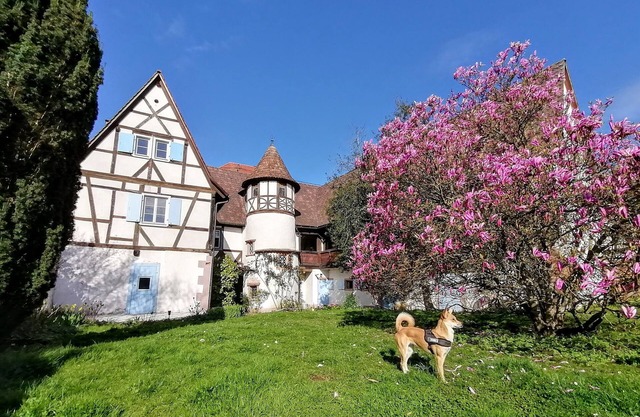 Maison Alsacienne du Xviè Dans le Parc Naturel des Vosges du Nord