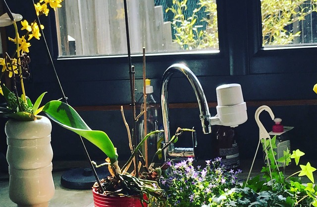 Maison Avec Jardin à Montreuil Proche de la Ligne 11 et des Jo