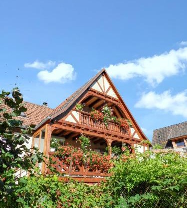 Maison charmante avec vue sur la montagne à Triembach-au-Val