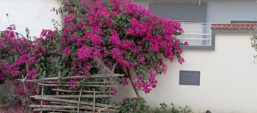 Maison des vacancies,repos et relaxation