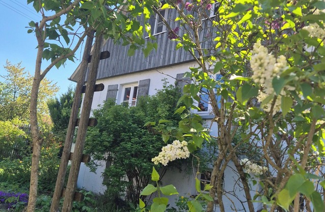 Maison Fuchs - A Fantastic former farmhouse with garden, WiFi and BBQ