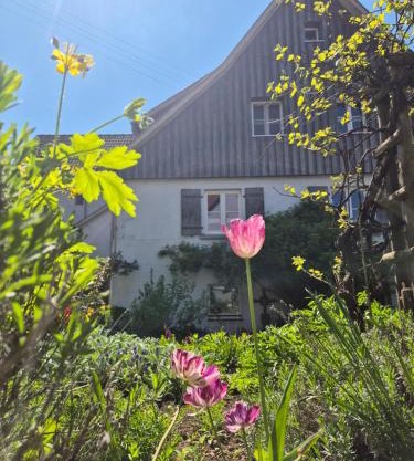 Maison Fuchs - Fantastisches ehemaliges Bauernhaus mit Garten, WiFi und BBQ