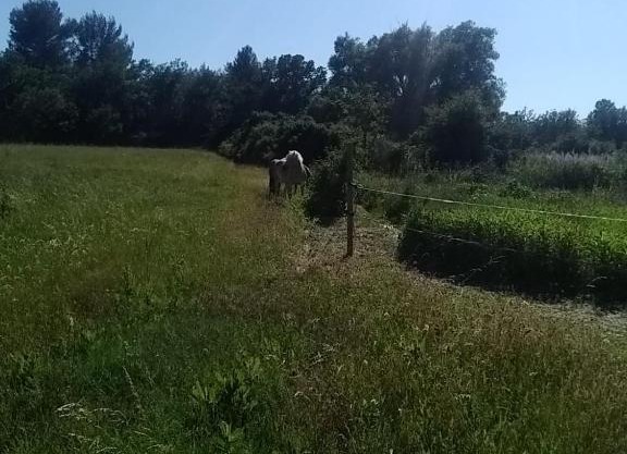 Maison individuelle 5 couchages dans Ferme Equestre