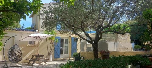 Maison jardin grande piscine , sortie bateau possible