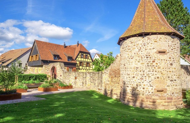 Maison Situé au Coeur de L'alsace, Proche Ribeauvillé. Jardin, Animaux Acceptés