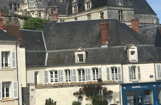 Majestic residence at the foot of the Château de St Aignan 5 minutes from the Zoo Beauval