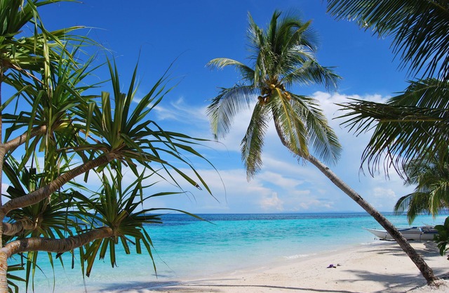 Malapascua Exotic Island Dive and Beach Resort