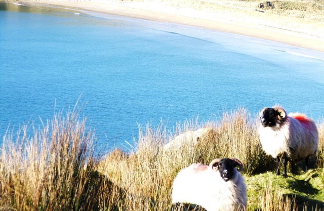 Malin, Donegal - 4 Double Bedroomed Modern Family Home in beautiful Inishowen.