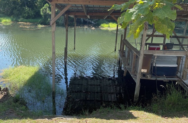 Man-cave w/pool table, dock w/2 boat slips on Lake Seminole! Fisherman’s Heaven