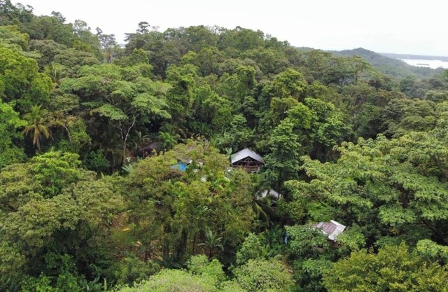 Manipura Room: Private Balcony, Hammock & Stunning Jungle Views!