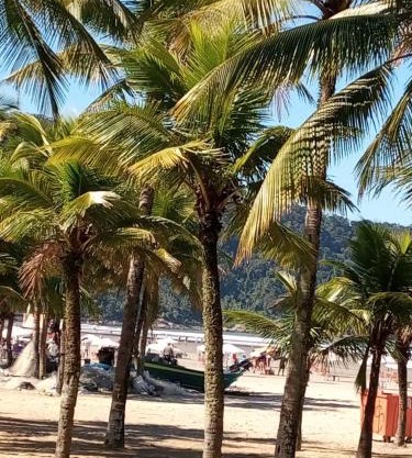 Mar doce lar