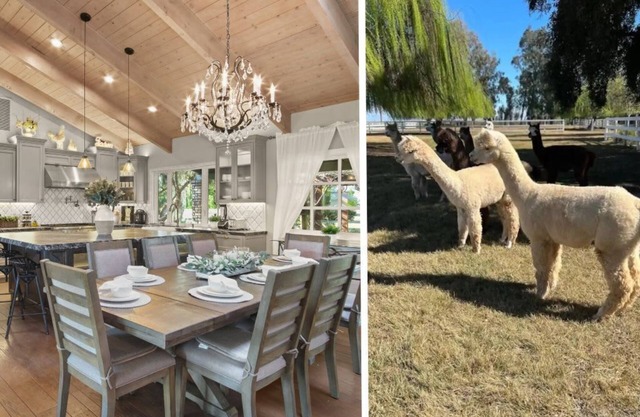 @ Marbella Lane - Alpaca Farm House l Pool