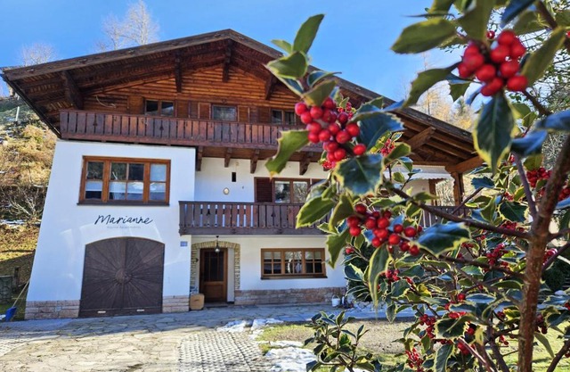 Marianne - Alpine Apartments