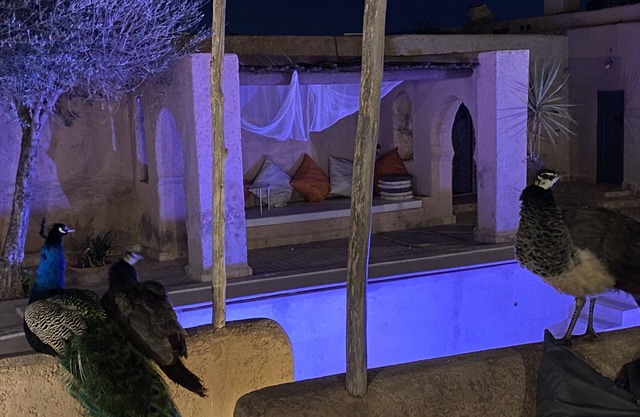 Marrakesh 6-Bed Housing Authentic Berber