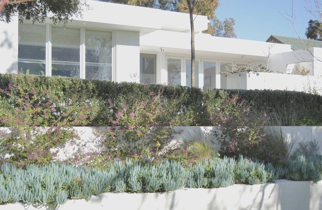 Martin House | Designer rural seaside retreat overlooking Linear Park, Pt Willy