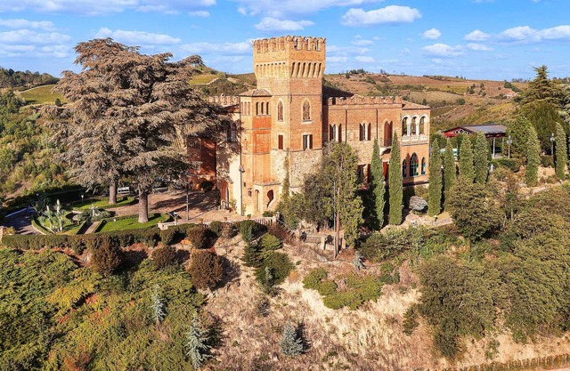 Marvellous castle with pool overlooking the vineyards! - Castello Mornico 20 PAX