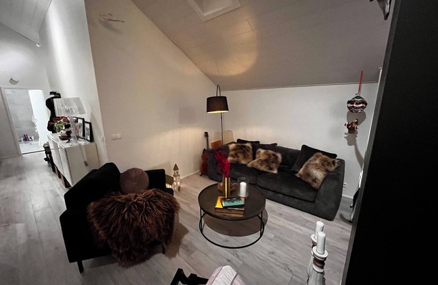 Marvelous 2-bedroom penthouse apartment in Reykjavík close to the center