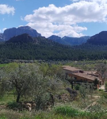 Mas de Manresa