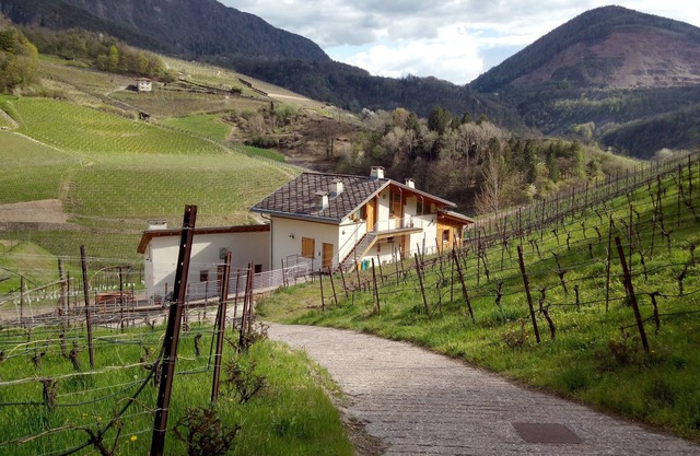 Maso Besleri apartments in the vineyard with kitchen hall and terrace for events