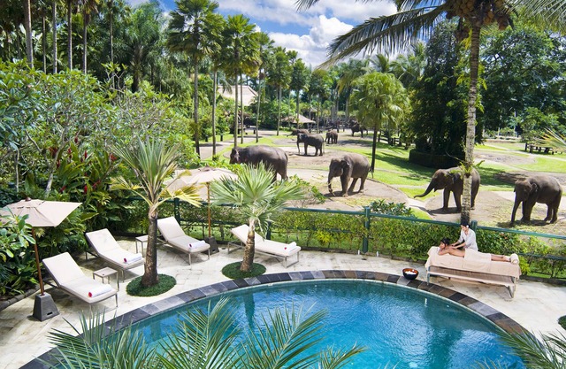 Mason Elephant Lodge